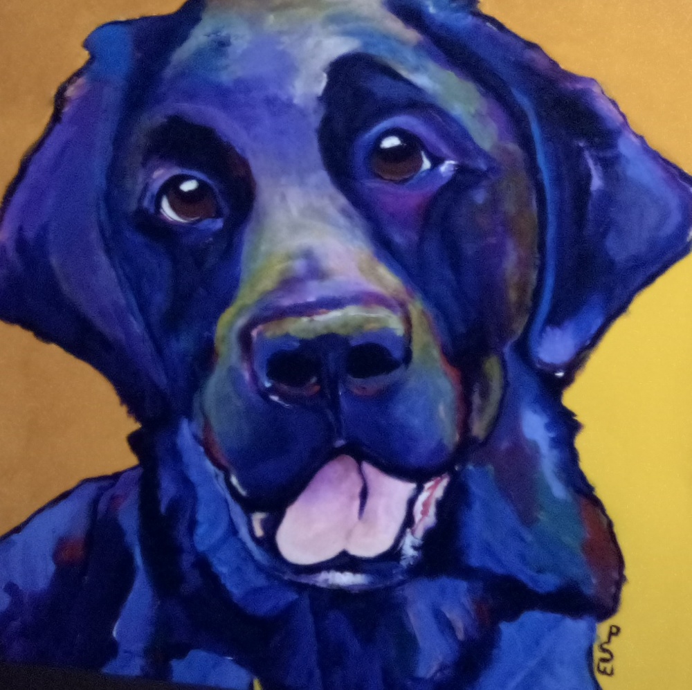 Meet your Posher, Jana